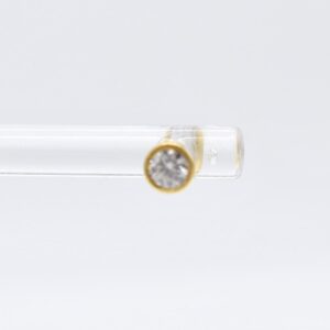 18K Round Moissanite De Roscas Earrings